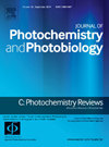 JOURNAL OF PHOTOCHEMISTRY AND PHOTOBIOLOGY C-PHOTOCHEMISTRY REVIEWS封面